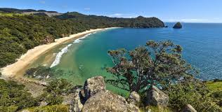 Image result for new chums beach