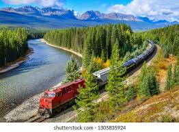 Résultat de recherche d'images pour "morant's curve"