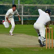 Image result for Tynedale Cricket Club