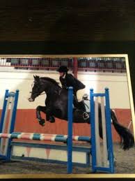 Image result for Chobham and District Riding Club