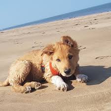 Image result for Bideford Parkour Club