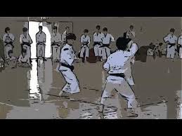 Image result for Durham University Shorinji Kempo Society Club