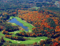 Image result for Fox Gc