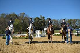 Image result for Reading University Riding Club