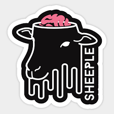 Image result for sheeple