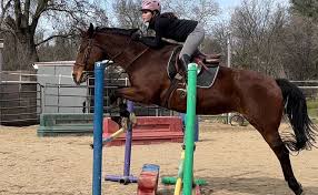 Image result for Winchester Riding Club