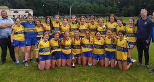 Image result for Erin`s Own Gaelic Athletic & Social Club