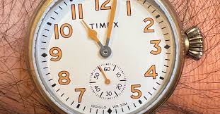 Image result for Wellington Whirlwinds Tc