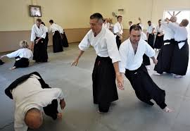 Image result for Basingstoke Aikido Club