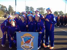 Image result for Charlestown/Adelphi Netball Club