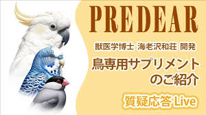 「海老沢和生」の画像検索結果