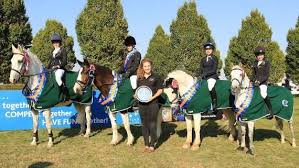 Image result for Elstead Riding Club