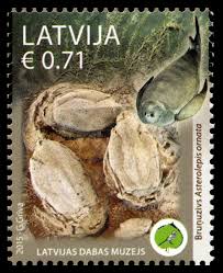 Attēlu rezultāti vaicājumam “Placodermi”