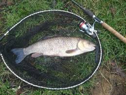 Image result for Leatherhead & District Angling Society