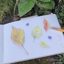 「望月麻里（マリ）」の画像検索結果