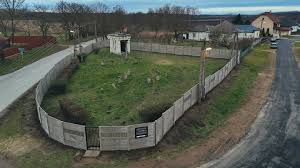 Image result for sényő