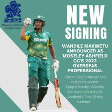 Image result for Moseley Ashfield Cc