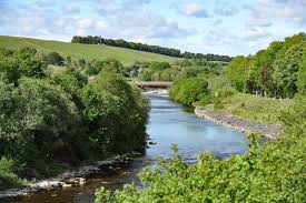 Image result for Selkirk-Ettrick Forrest Bowling Club