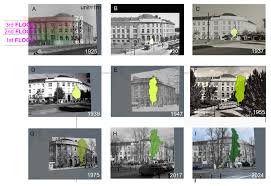 Attēlu rezultāti vaicājumam “Populus x petrowskyana”