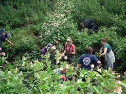 Image result for Dulverton Angling Association