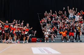 Image result for Beacon Netball Club