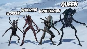 Image result for xenomorph