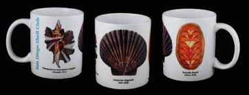 Image result for Cinctura hunteria