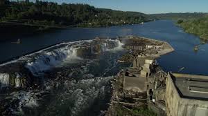 Image result for Portway Plodders