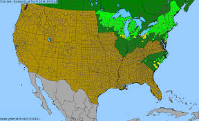 Attēlu rezultāti vaicājumam “Chamaedaphne calyculata fruit”
