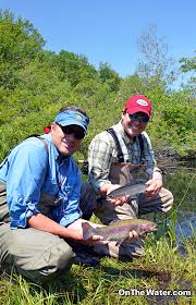 Image result for Byfleet Angling Club