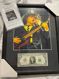 Image result for angusyoun