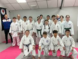 Image result for MO-ICHIDO