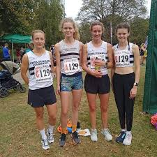 Image result for Cheltenham and County Harriers