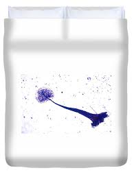 Attēlu rezultāti vaicājumam “Comatricha elegans”