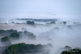 Image result for North Dorset