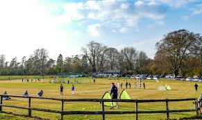 Image result for Buscot Park Cricket Club