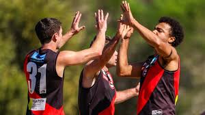 Image result for Eltham Panthers