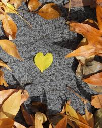 Image result for $$fall_akte__ort$$