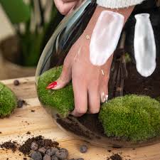 Attēlu rezultāti vaicājumam “Leucobryum glaucum”