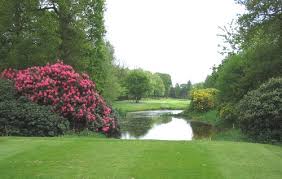 Image result for Puttenham Golf Club