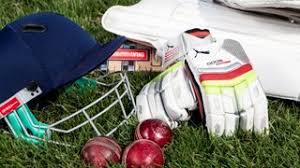 Image result for Brodsworth Main Cricket Club