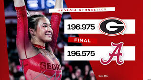 Image result for Breckland Forest Gymnastics Club 2004