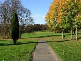 Image result for Horsforth Cc