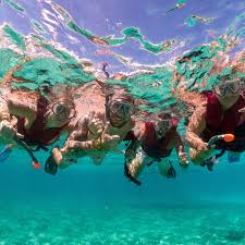 Image result for Black Country Barracudas Sub Aqua Club