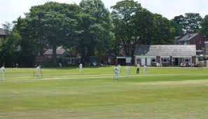Image result for Shepherdswell Cricket Club