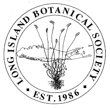 Attēlu rezultāti vaicājumam “Cladopodiella francisci”