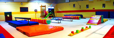 Image result for Avondale Gymnastics Club