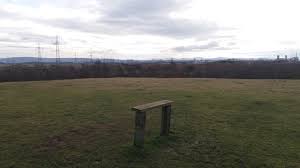 Image result for Billingham Marsh House Harriers