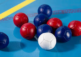 Image result for Dartford Badminton Club