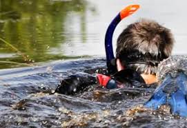 Image result for Darwen Snorkelling Club